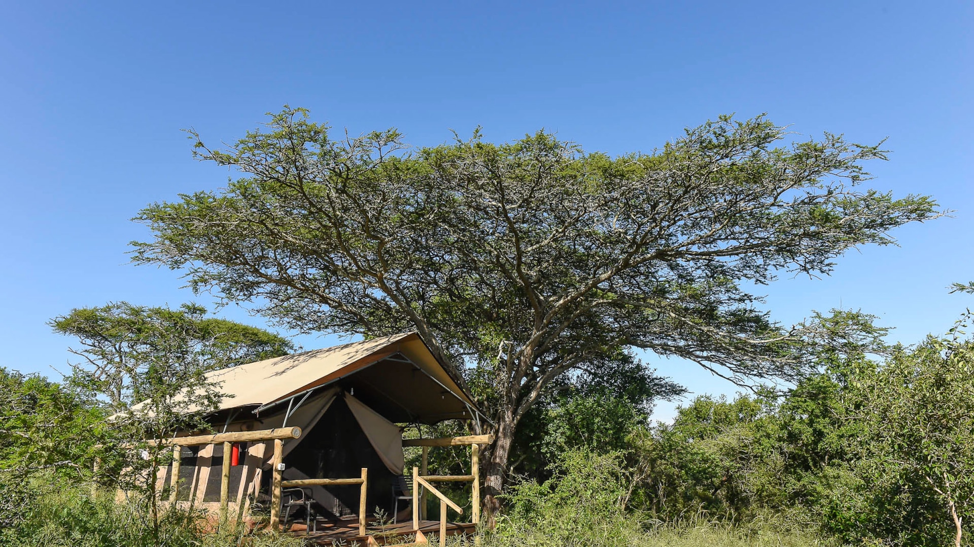 Highlights von Südafrika